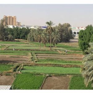 للبيع بيت في الجهراء