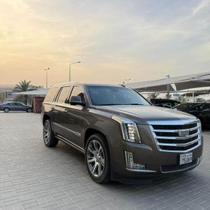 سكاليد بلاتنيوم مديل 2016