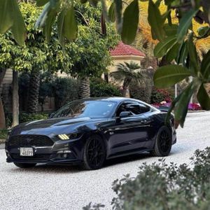 للبيع موستنق