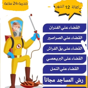 الكويت