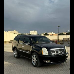 للبيع اسكاليد بلاتينيوم