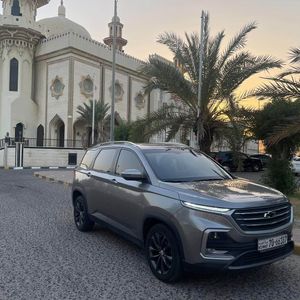 للبيع كابتيفيا LT