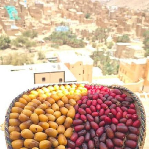 ابحث عن وظيفه عمل 