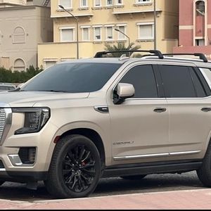 دينالي ٢٠٢١ 